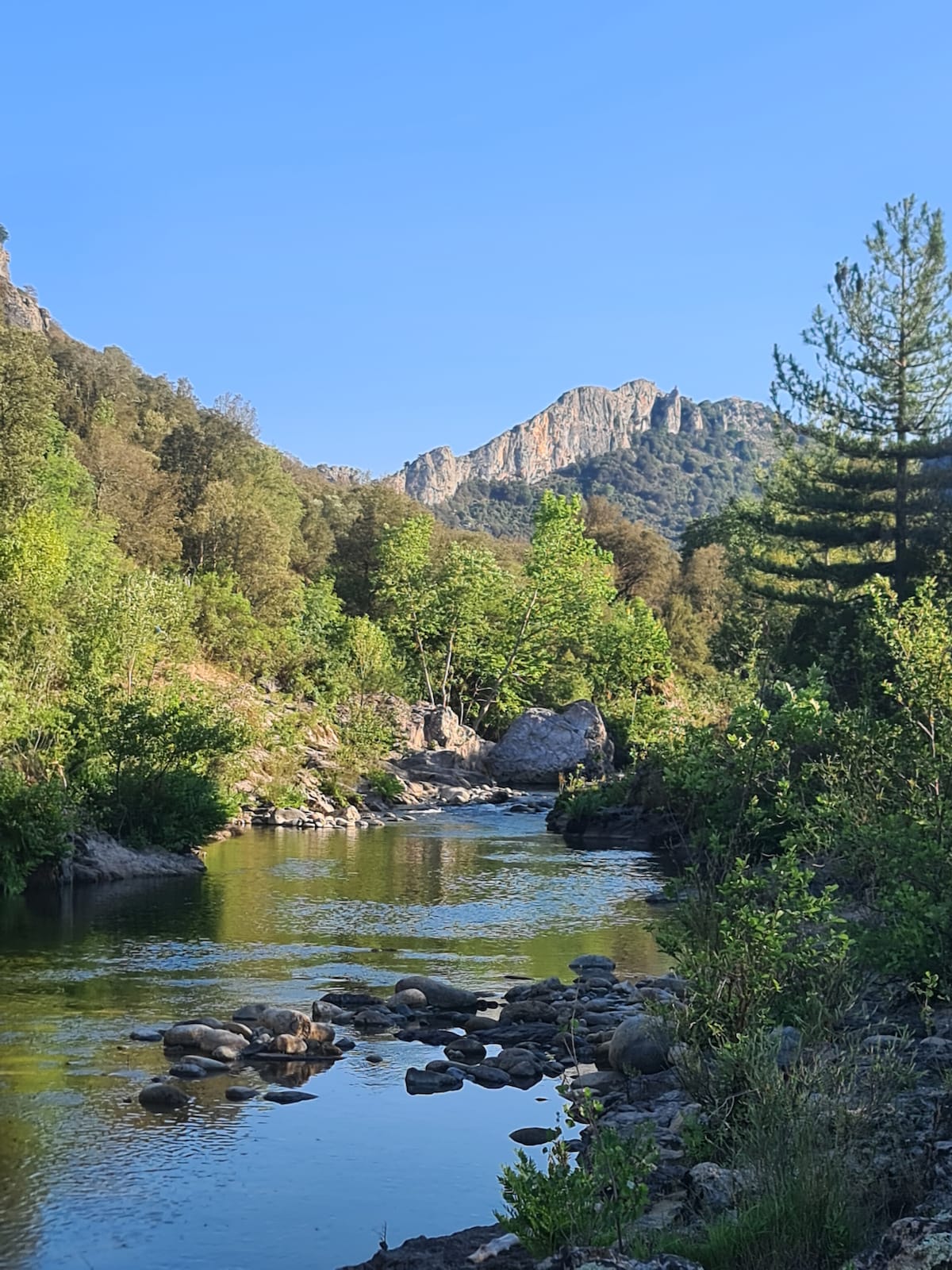 A serene river flows gently through a lush landscape, flanked by trees and rocky banks. The surrounding mountains rise majestically in the background under a clear blue sky, creating a peaceful outdoor setting perfect for relaxation.