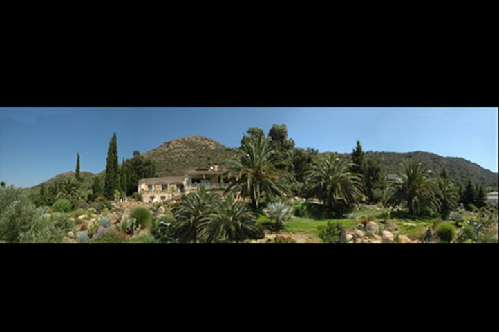 La Esquellada 10 000 m2 charme gallery image 2