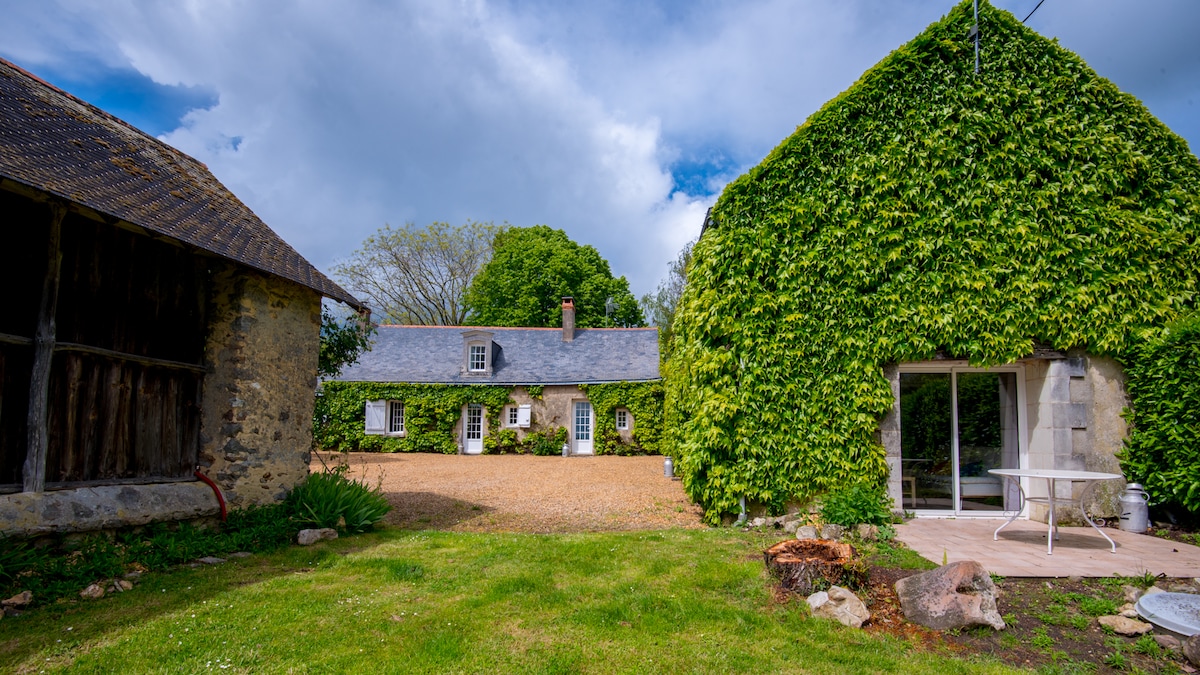 A sprawling property is surrounded by lush greenery, featuring two distinct houses with ivy-covered façades. A gravel pathway leads to the front entrance, while a manicured lawn complements the natural setting. The sky is partly cloudy, providing a serene backdrop.