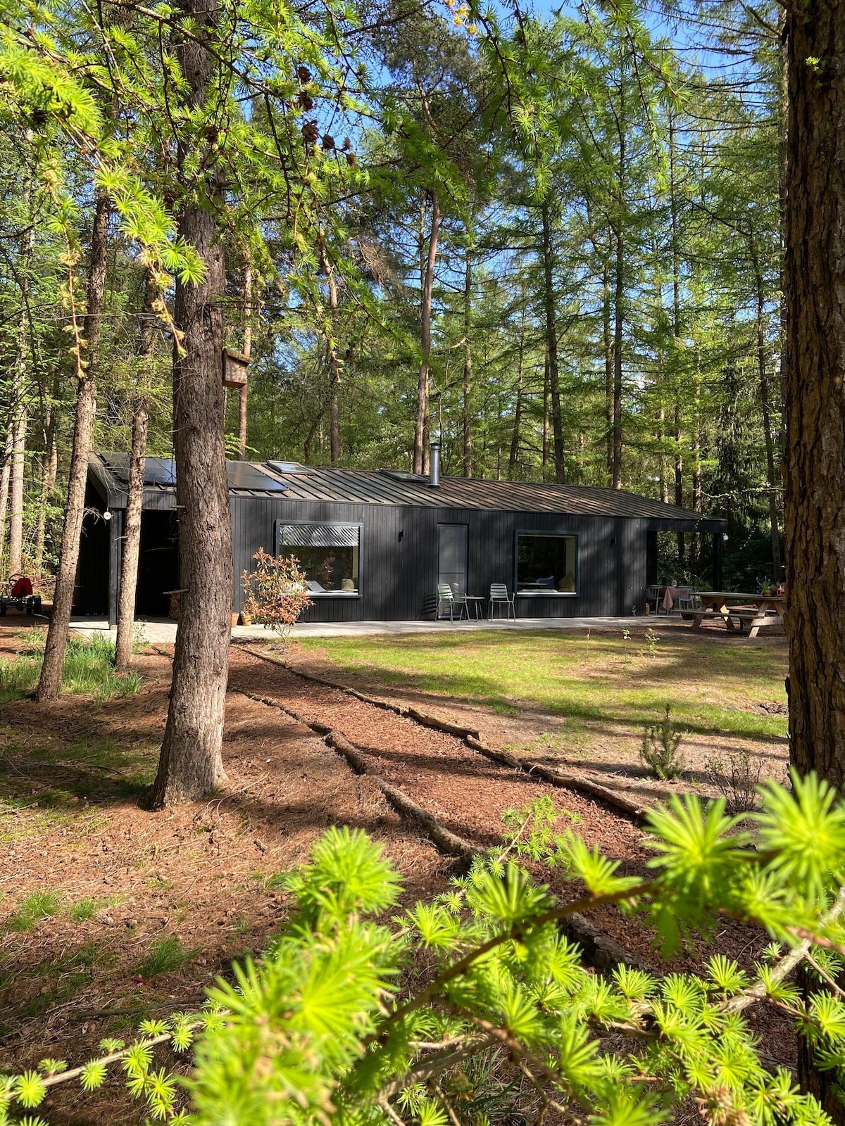 A modern, black wooden house is nestled in a lush forest, surrounded by tall trees and a carpet of soft pine needles. Large windows offer glimpses of the outdoor area, where several seating options and a picnic table are visible, inviting relaxation in nature.