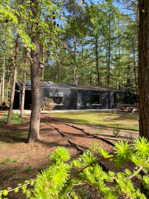 Come and enjoy our wooden "House among the trees"