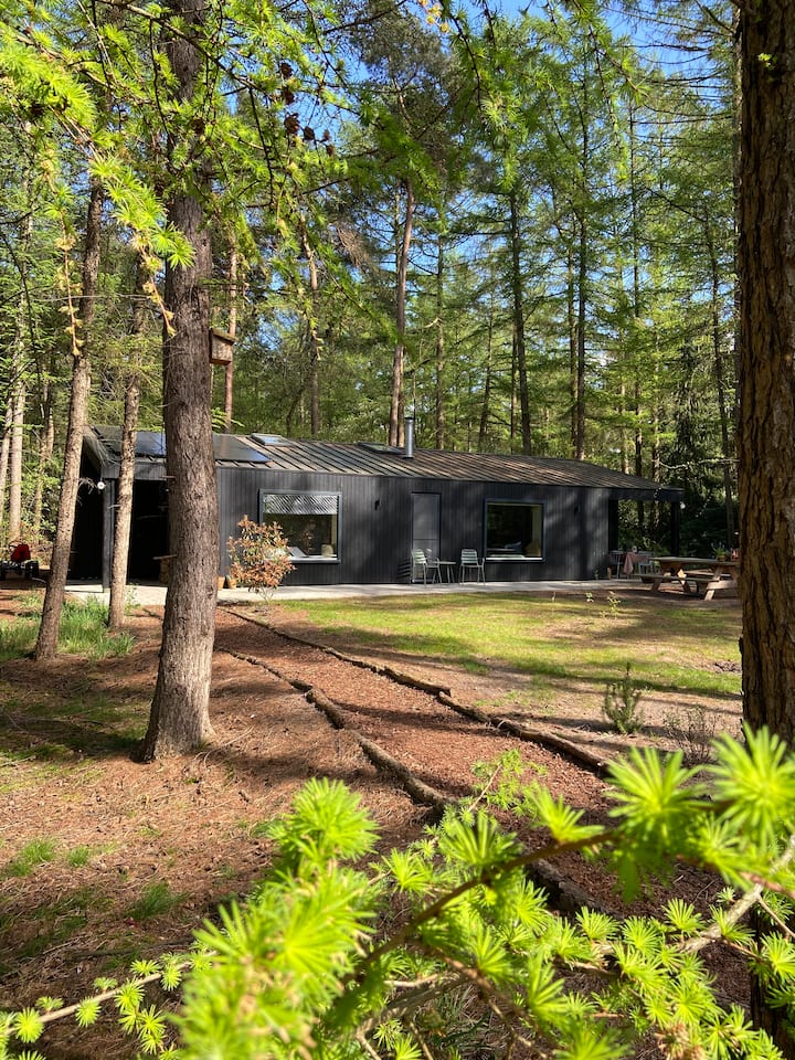 Come and enjoy our wooden "House among the trees"