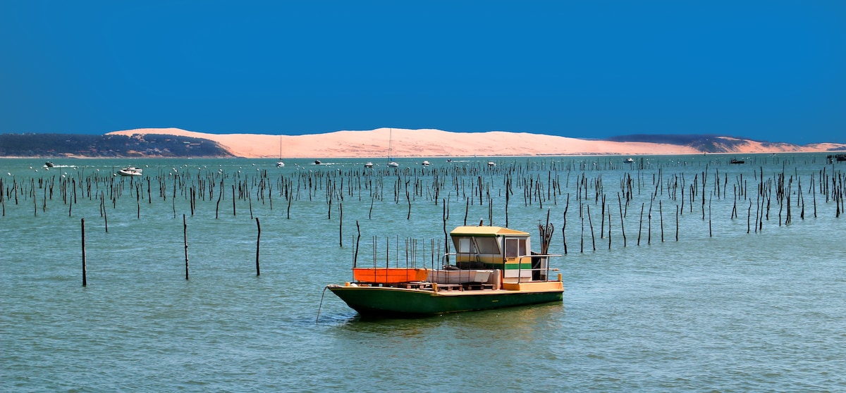 A wooden boat is anchored in calm waters, surrounded by numerous wooden poles jutting from the sea. In the background, sandy dunes are visible under a clear blue sky, creating a serene coastal scene.