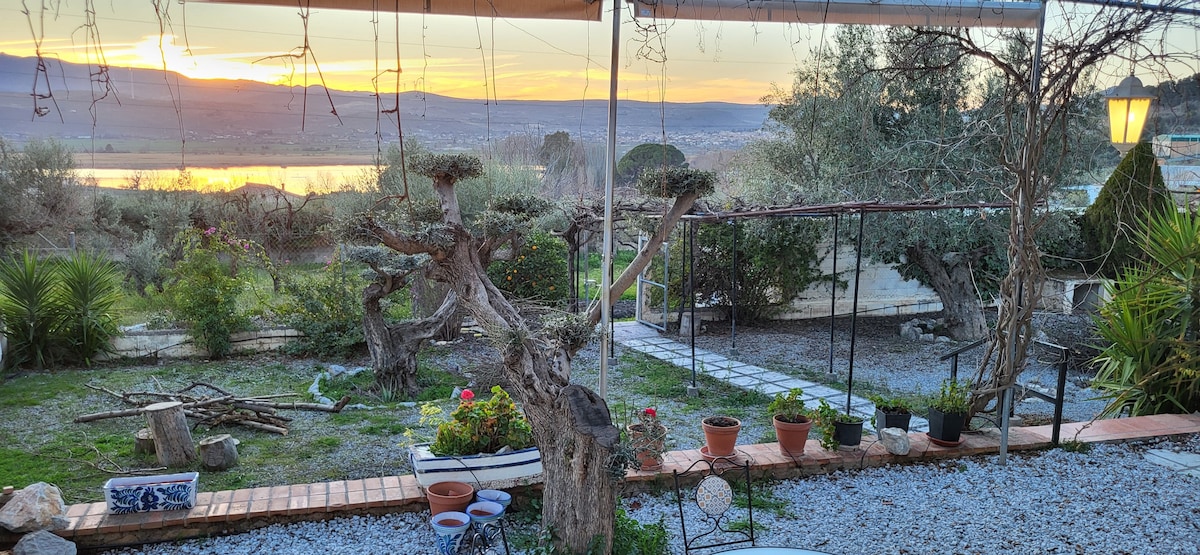 A tranquil outdoor space features manicured gardens with various plants and flowers in pots. A winding path leads through the area, while unique olive trees are prominent. The background reveals a scenic view of rolling hills at sunset, creating a peaceful atmosphere.