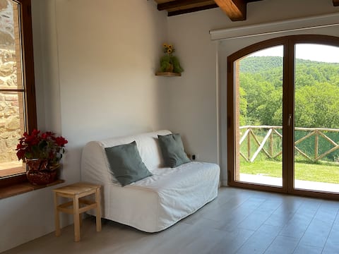 Top Airbnb: The Biricocolo Cottage a Bucine