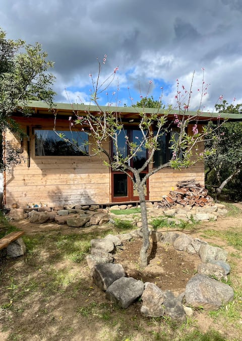 House surrounded by greenery