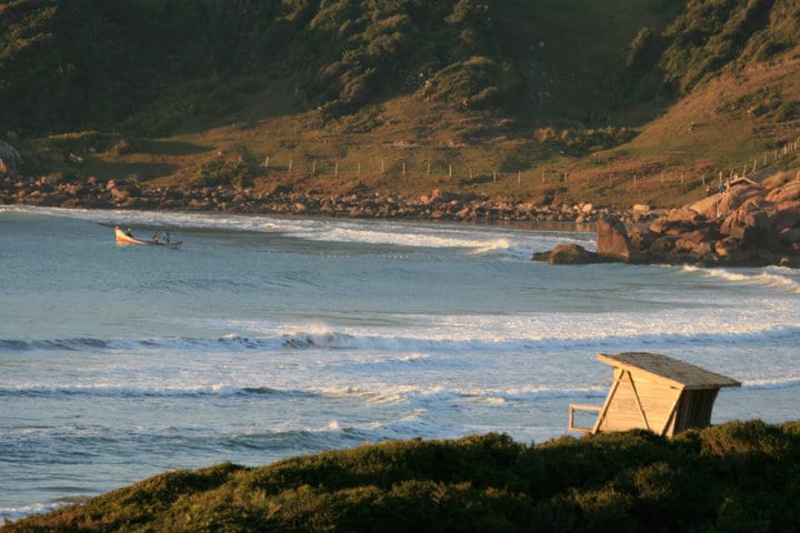 A serene view of a shoreline is captured, with gentle waves lapping against the sand. A small wooden structure stands on the foreground, while a boat is seen cruising in the distance. Lush green hills create a natural backdrop on the horizon.