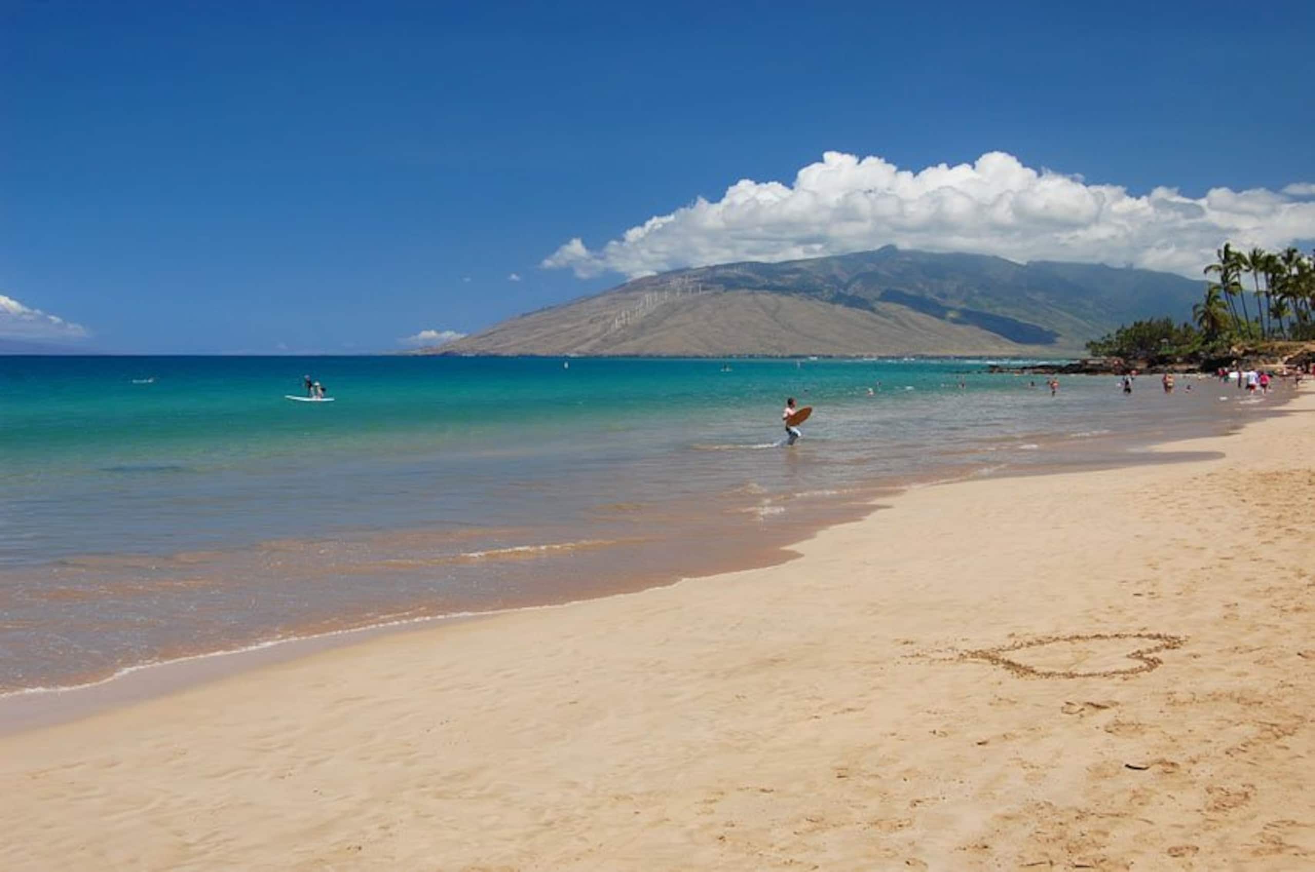 Condo in Kihei · ★5.0 · 1 bedroom · 2 beds · 1 bath - Image 47