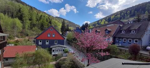 Haus am Harzer Wald (100% Ökostrom/Biogas)