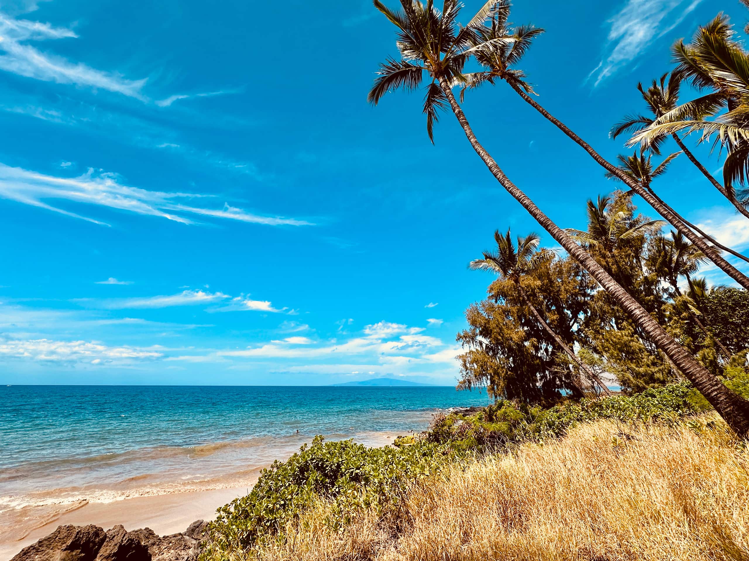 Condo in Kihei · ★4.98 · 1 bedroom · 2 beds · 1 bath - Image 53