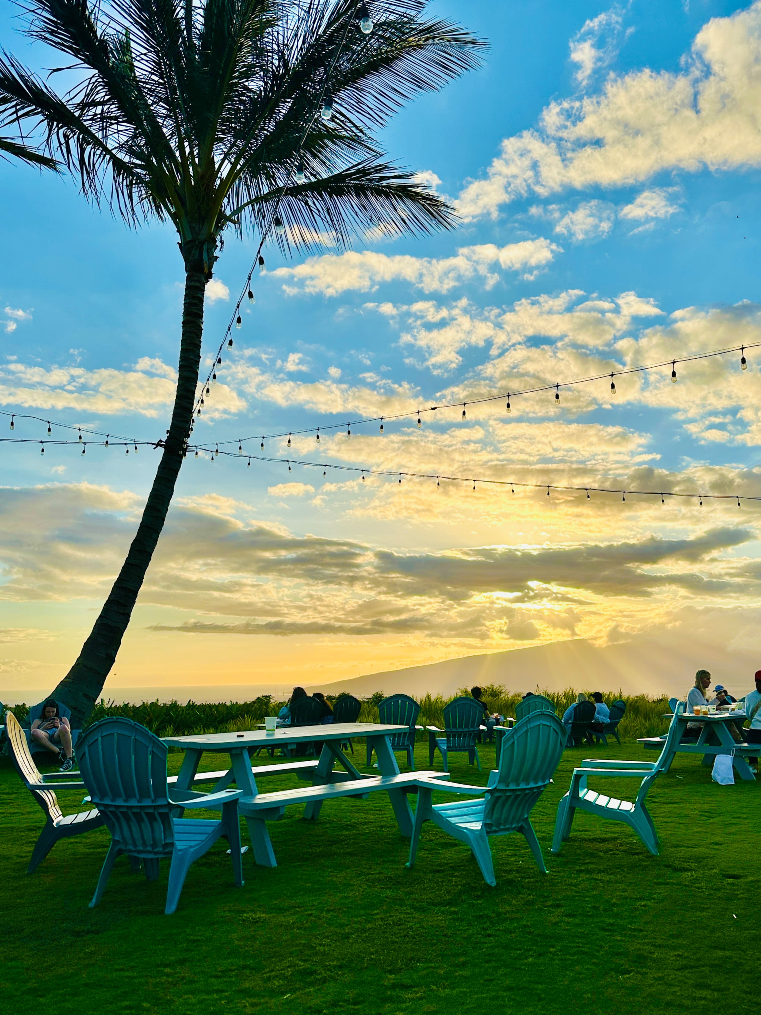 Condo in Kihei · ★4.98 · 1 bedroom · 2 beds · 1 bath - Image 61