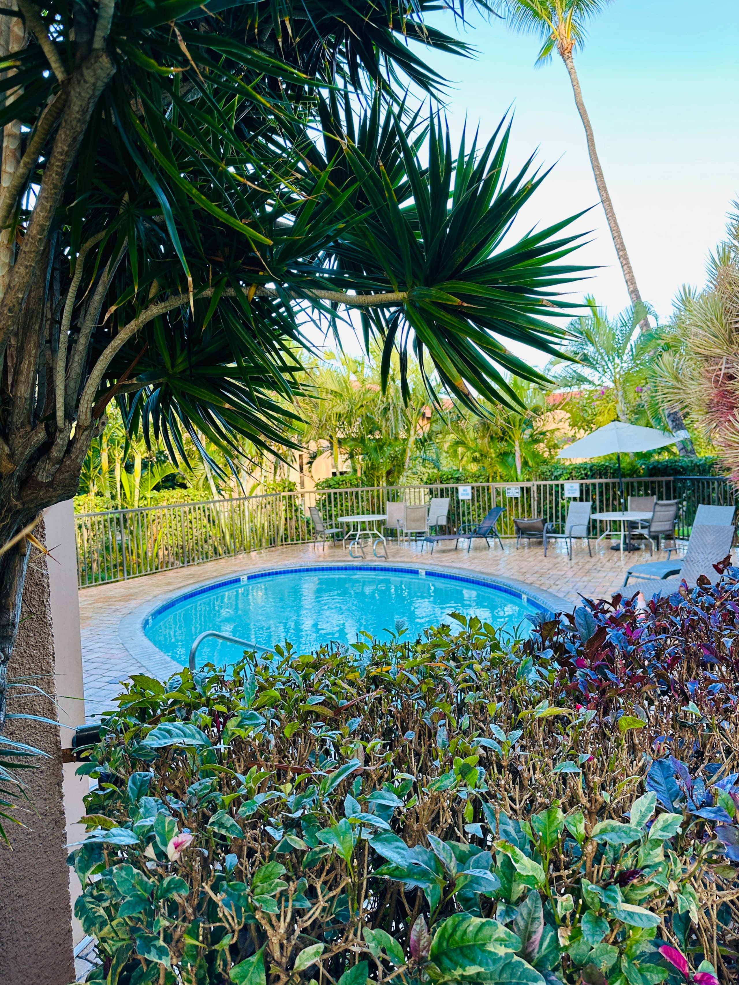 Condo in Kihei · ★4.98 · 1 bedroom · 2 beds · 1 bath - Image 42
