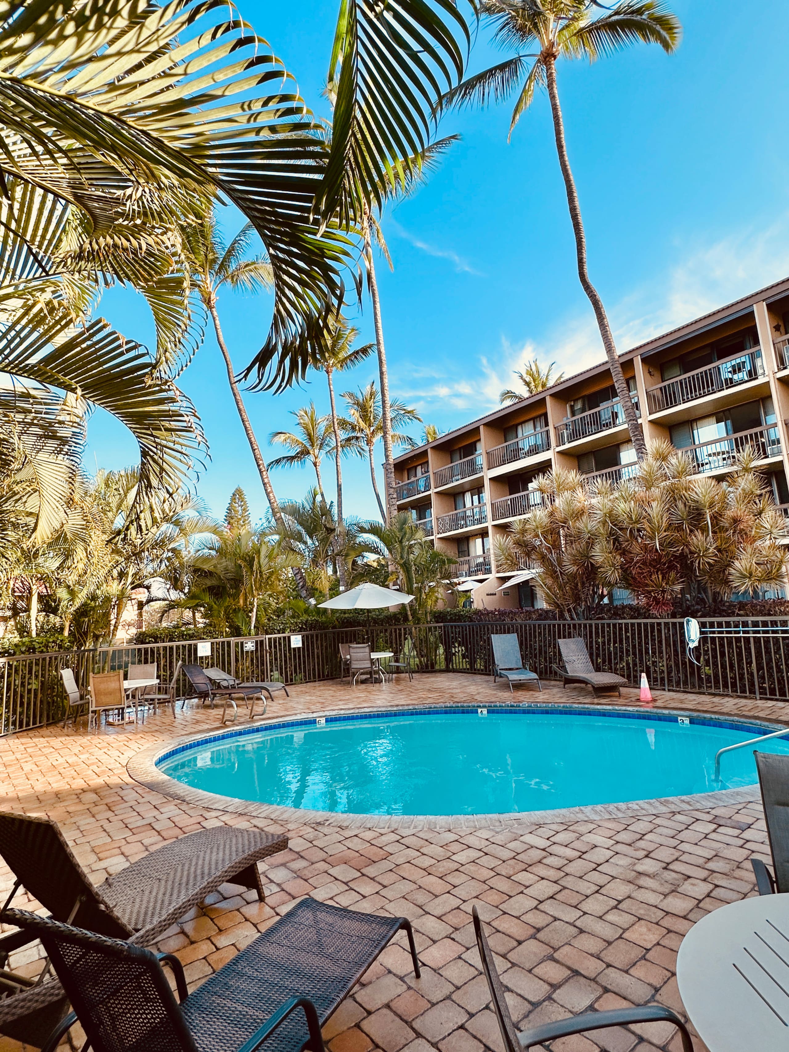 Condo in Kihei · ★4.98 · 1 bedroom · 2 beds · 1 bath - Image 40