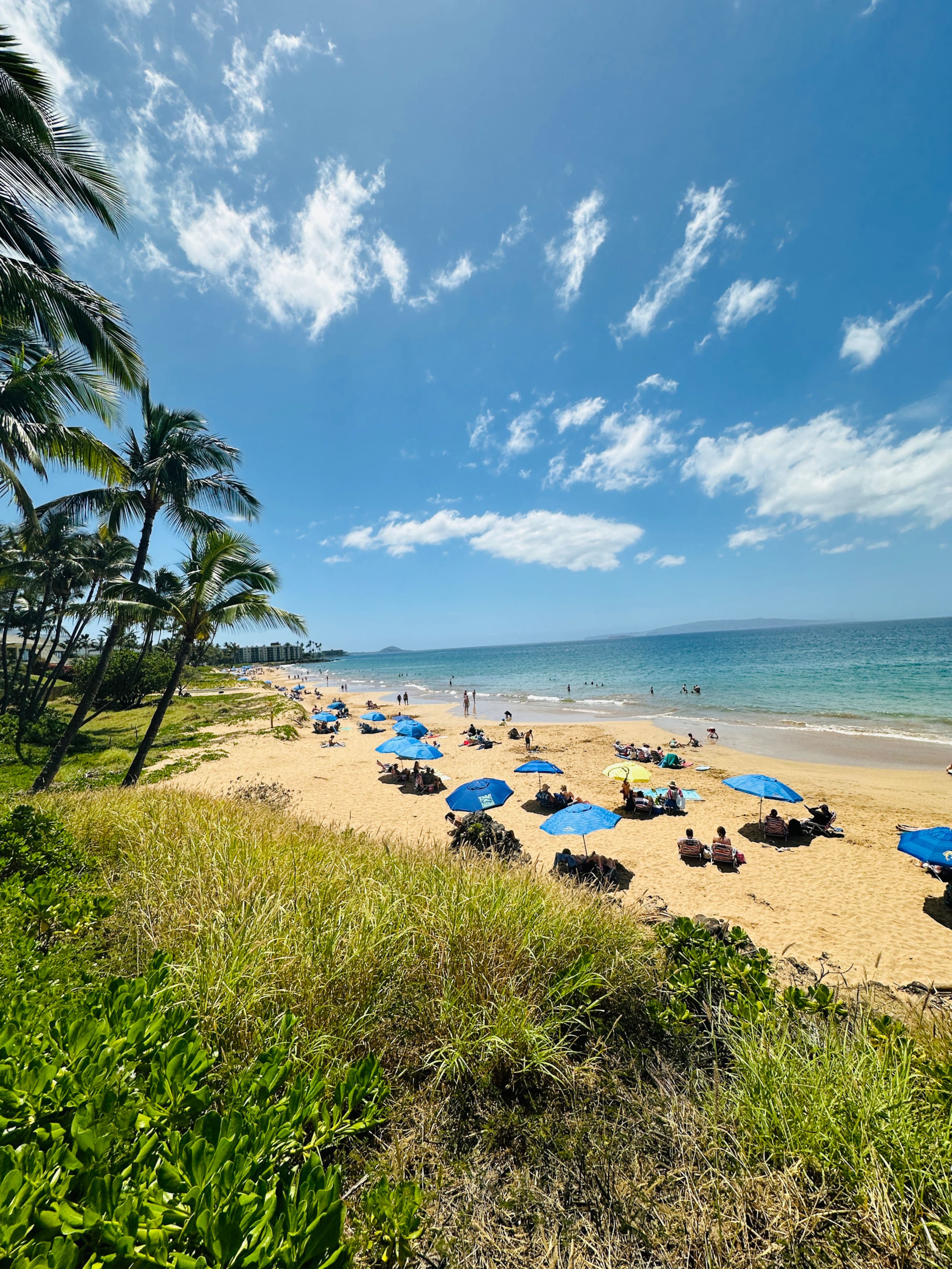 Condo in Kihei · ★4.98 · 1 bedroom · 2 beds · 1 bath - Image 52