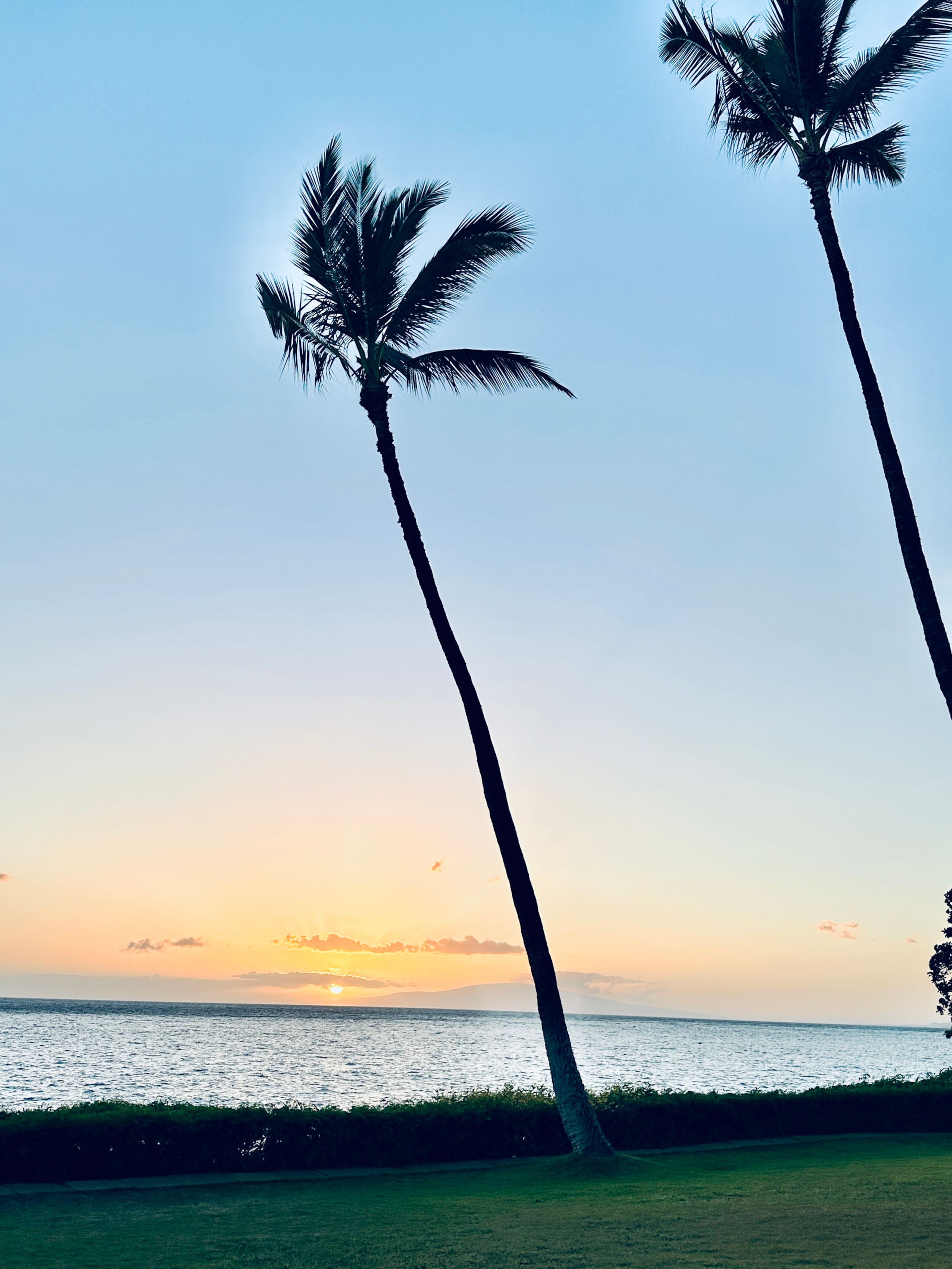 Condo in Kihei · ★4.98 · 1 bedroom · 2 beds · 1 bath - Image 56