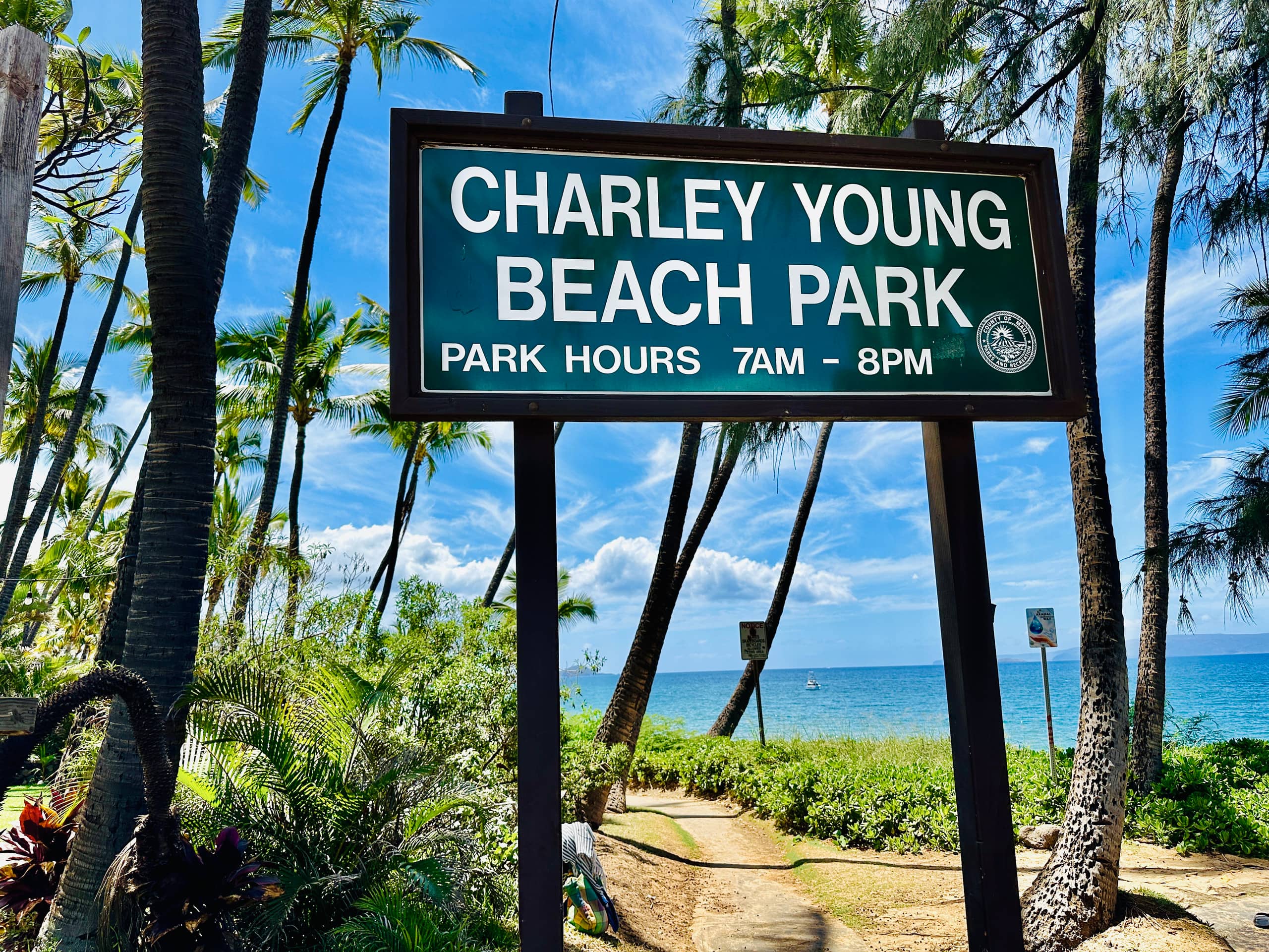 Condo in Kihei · ★4.98 · 1 bedroom · 2 beds · 1 bath - Image 50
