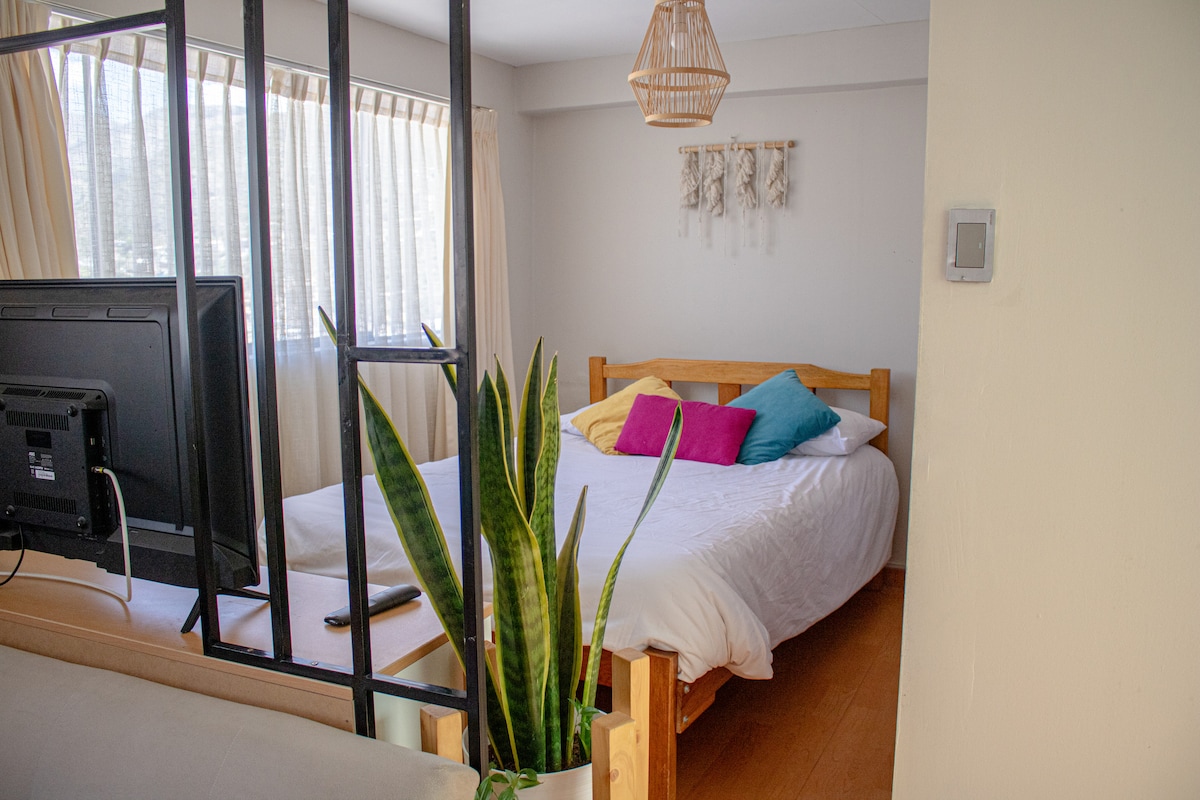 A spacious sleeping area features a large bed adorned with colorful pillows. A television is positioned at the foot of the bed, and large windows allow natural light to illuminate the space. A tall green plant adds a touch of greenery to the room.