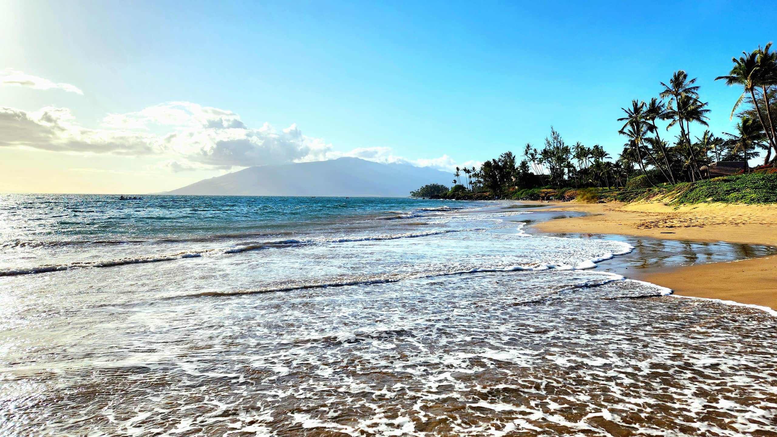 Condo in Kihei · ★4.91 · 2 bedrooms · 4 beds · 2 private baths - Image 1