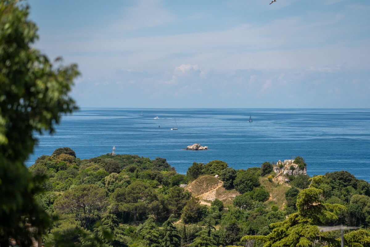 A serene coastal view is presented, featuring lush green landscapes meeting the calm sea. Small boats can be seen in the distance, while the horizon stretches under a clear sky, creating a peaceful atmosphere. The scene offers a glimpse of natural beauty typical of the area.