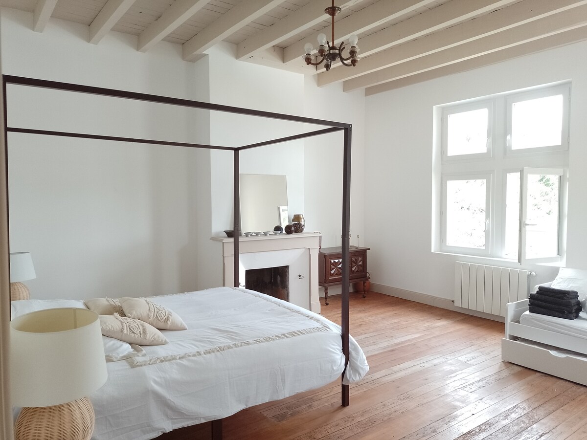 Chambre lumineuse avec linge de lit inclus