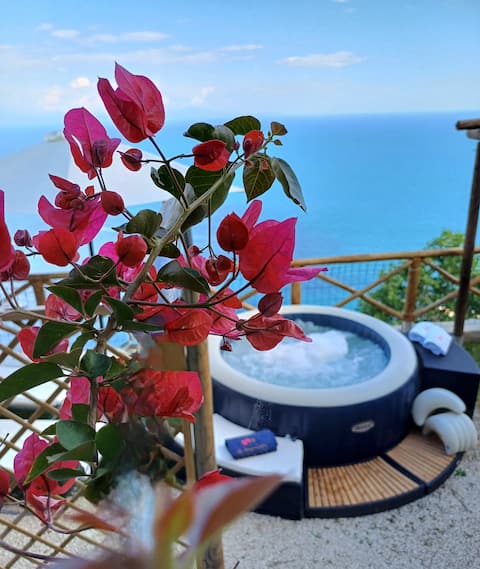 la bougainvillea 
 •house with sea view jacuzzi •
