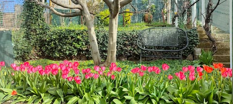 Garden barbecue Chaine des Puys Clermont Ferrand