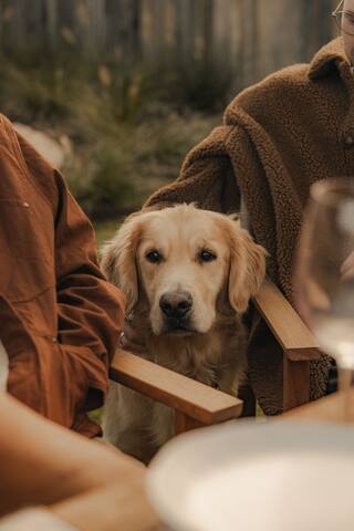 The Farmhouse – Southwest Luxury Farmstay gallery image 4