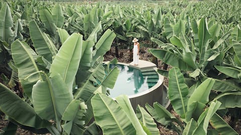 Top performing Airbnb: Hacienda los Orovales M. Victoria in Puerto De La Cruz