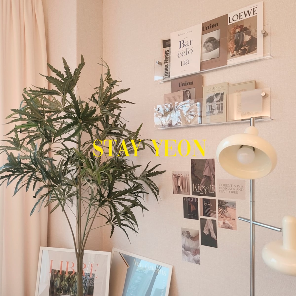 A decorative space features a tall green plant positioned in front of a light-colored wall. An assortment of framed art and texts is displayed above, complemented by a stylish lamp nearby, creating a pleasing visual arrangement.