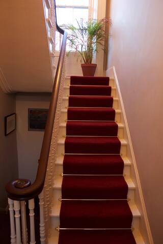 Period House in Dublin 6 gallery image 4