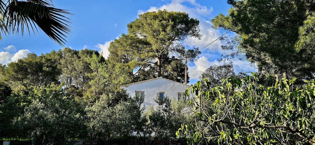 A charming white building is surrounded by lush greenery, including tall trees and shrubs. The structure features multiple windows reflecting the blue sky and scattered clouds, creating a serene and tranquil outdoor environment.