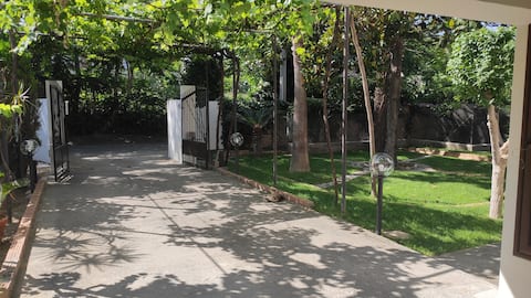 Villa Mikida, surrounded by greenery on the sea