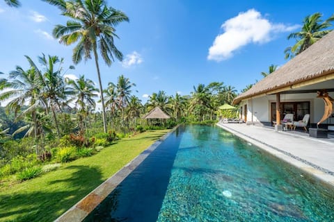 3BR private villa North of Ubud with jungle view