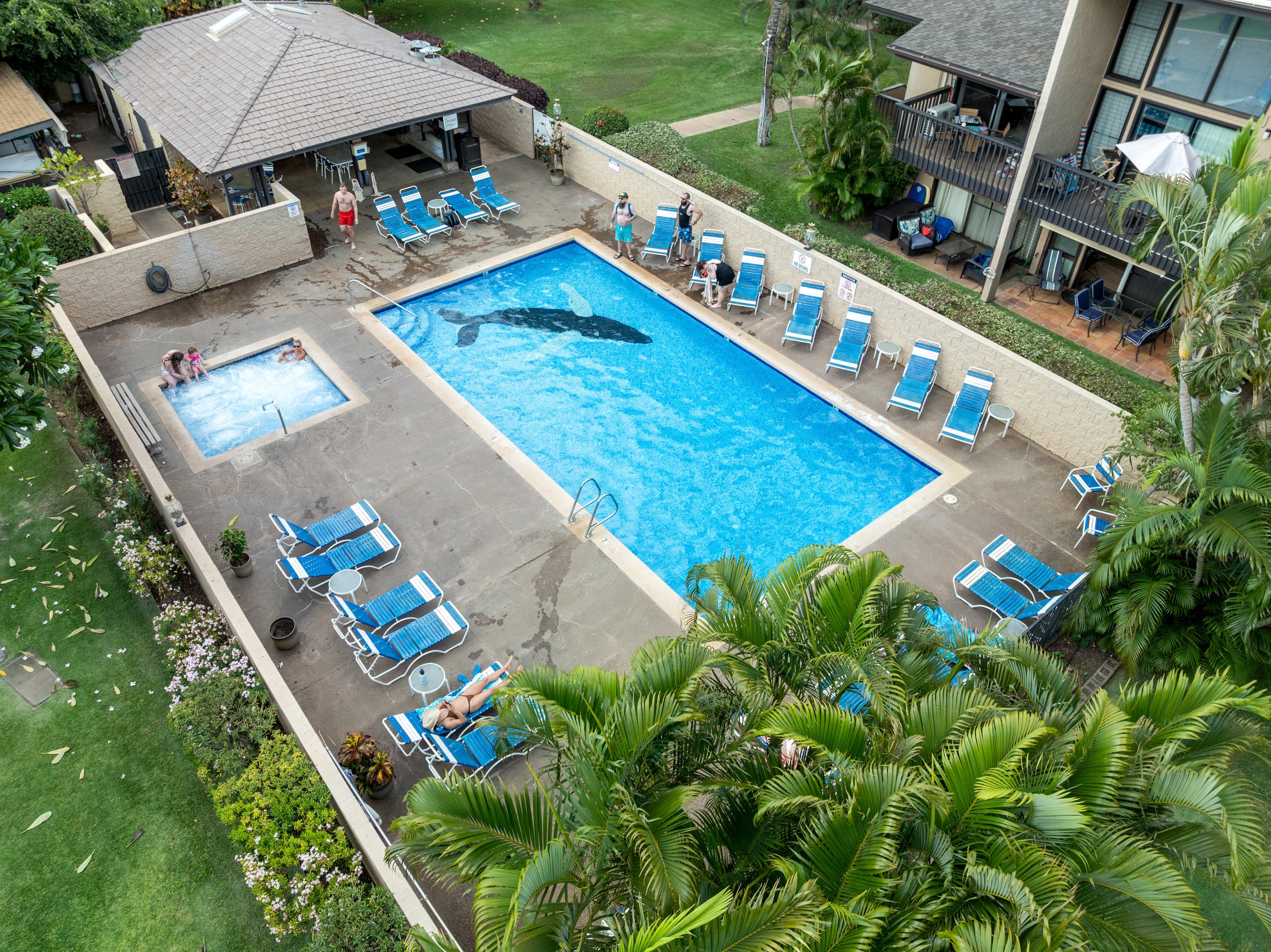 Condo in Kihei · ★4.96 · 2 bedrooms · 4 beds · 1 bath - Image 28