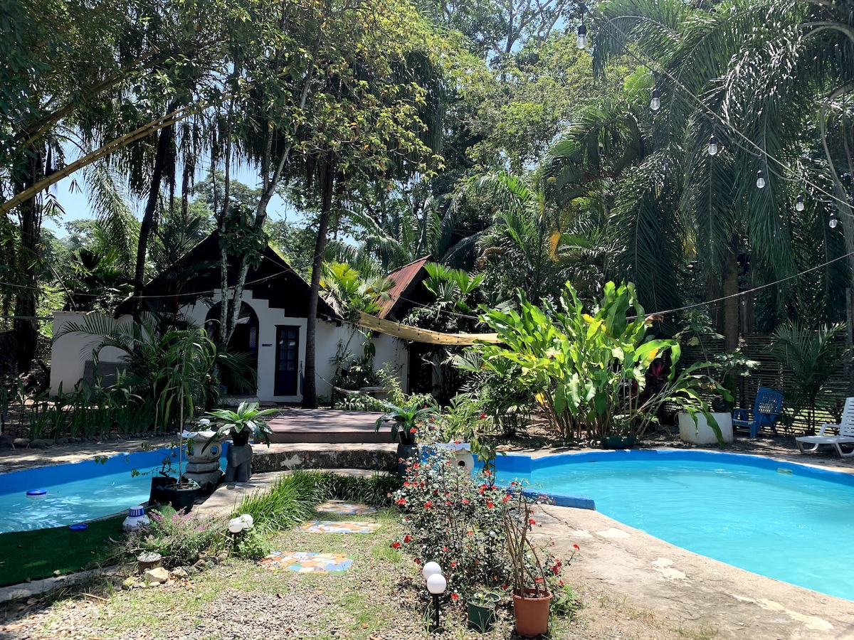 A serene garden setting is depicted, featuring a vibrant swimming pool surrounded by lush greenery. A charming building is situated in the background, complemented by tropical plants. Soft lighting is visible, enhancing the tranquil atmosphere of the outdoor space.