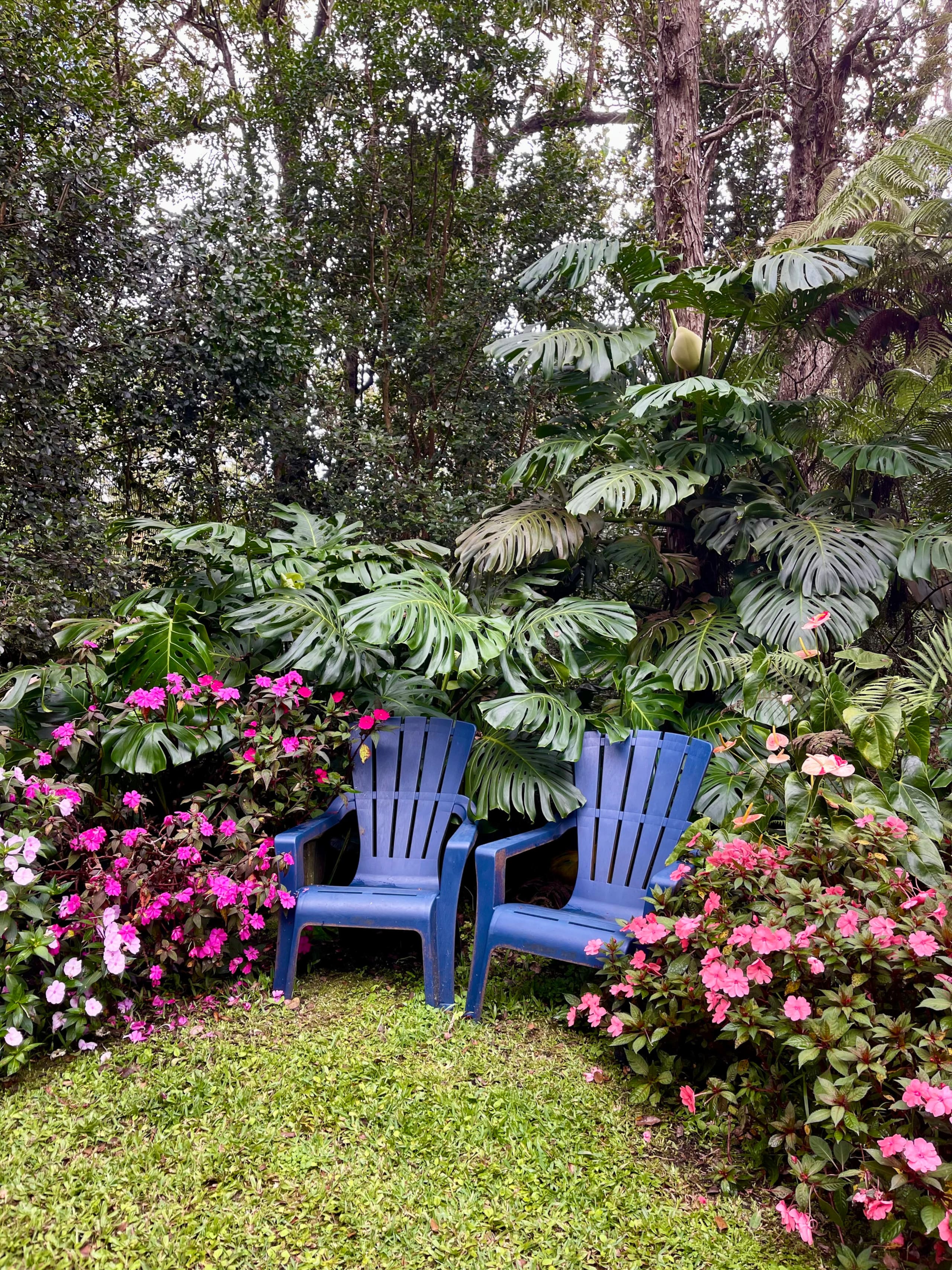 Cabin in Kailua-Kona · ★4.94 · 1 bedroom · 1 bed · 1 bath - Image 8