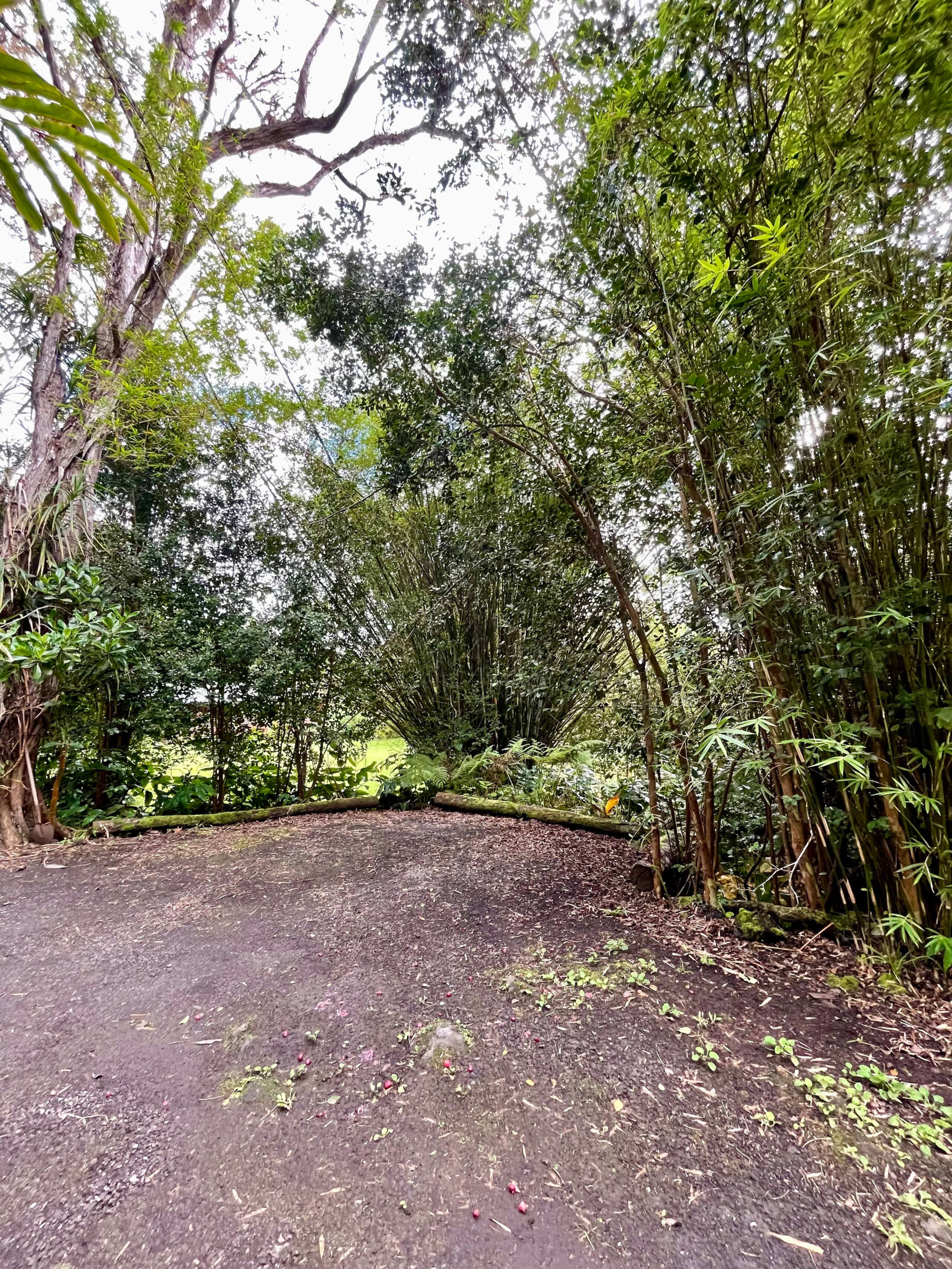 Cabin in Kailua-Kona · ★4.94 · 1 bedroom · 1 bed · 1 bath - Image 9