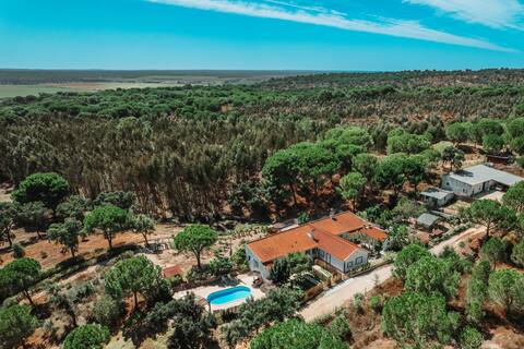 Casa da Floresta - Bforest