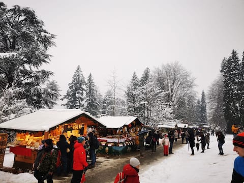 Elegant & Exclusive - 55 m²  Green Apartment