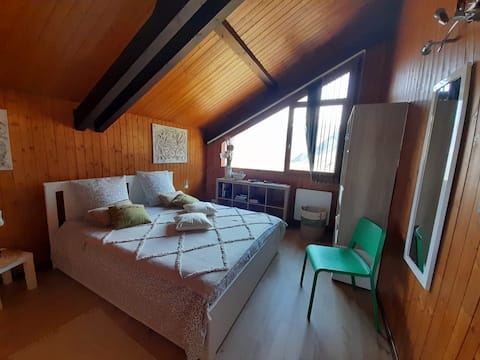 Successful Airbnb property: Apartment - Close to Lake Annecy in Saint Jorioz