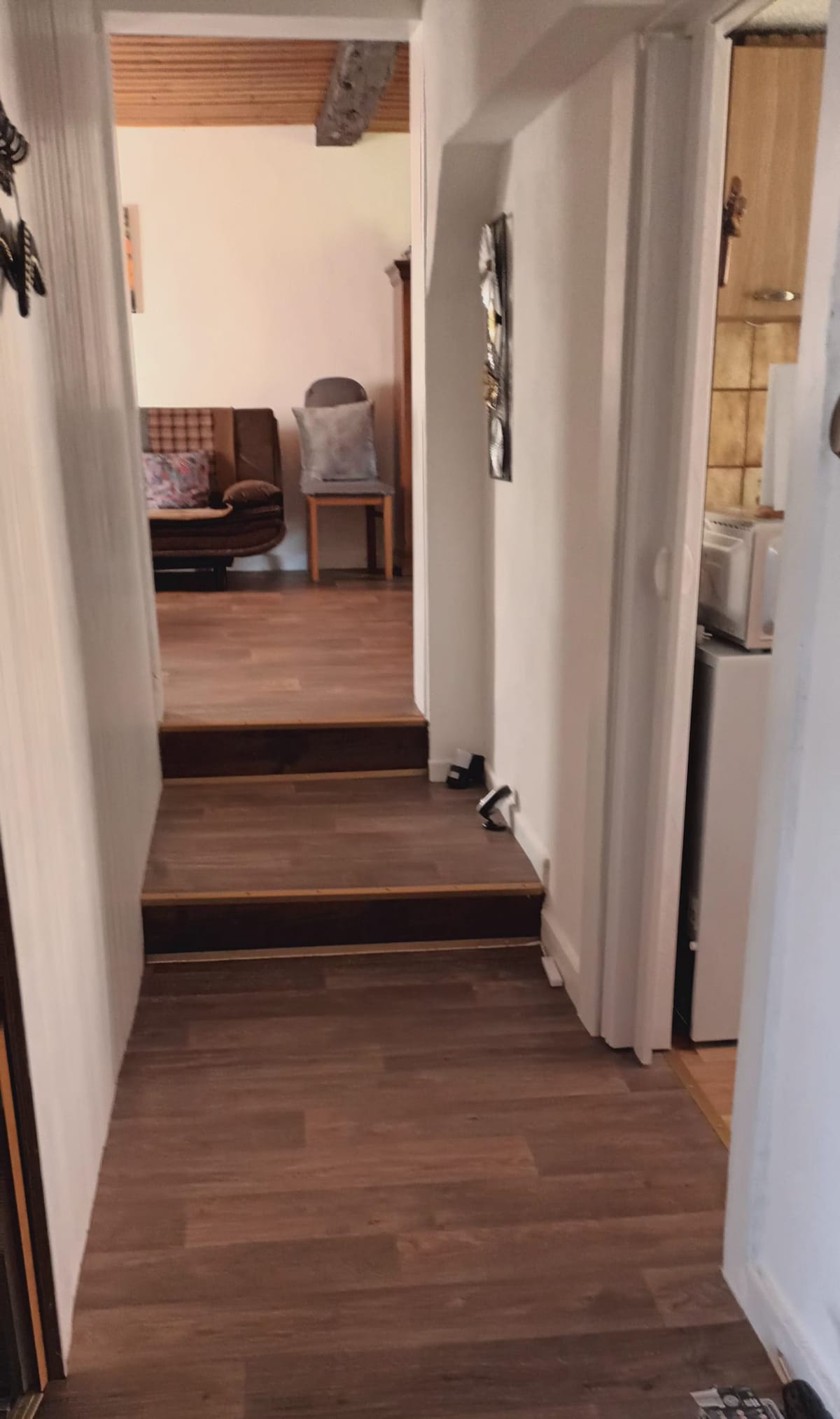 Დერეფანი პირდაპირ სამზარეულოსკენ მიდის, პირდაპირ მისაღები/საძინებლისკენ