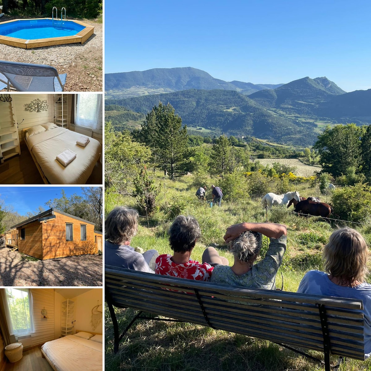 A serene view showcases a private wooden pool surrounded by nature. In another section, a cozy sleeping area is presented with a spacious bed neatly made, complemented by neatly rolled towels. The image also includes a modern wooden exterior and a group enjoying the picturesque landscape with grazing horses.
