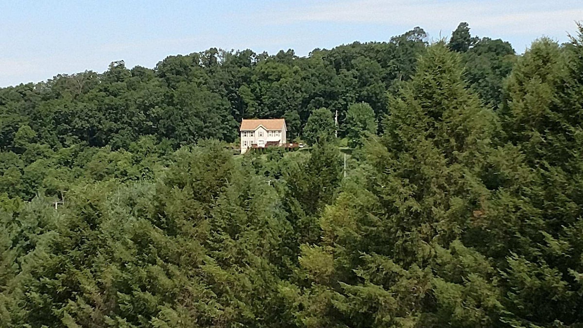 A modern house is positioned atop a gentle hill, surrounded by a lush expanse of green trees. The home features a light-colored facade and large windows, creating a striking contrast against the natural landscape.