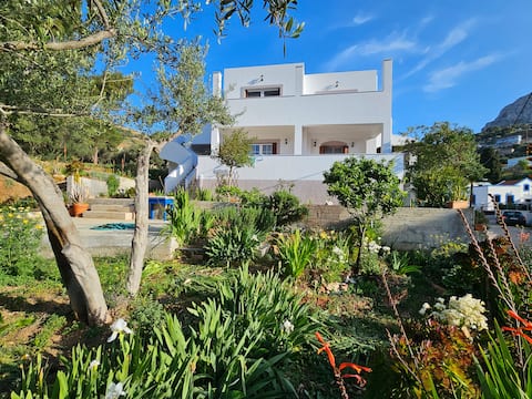 Kalymnos, Elies - The Olive Grove