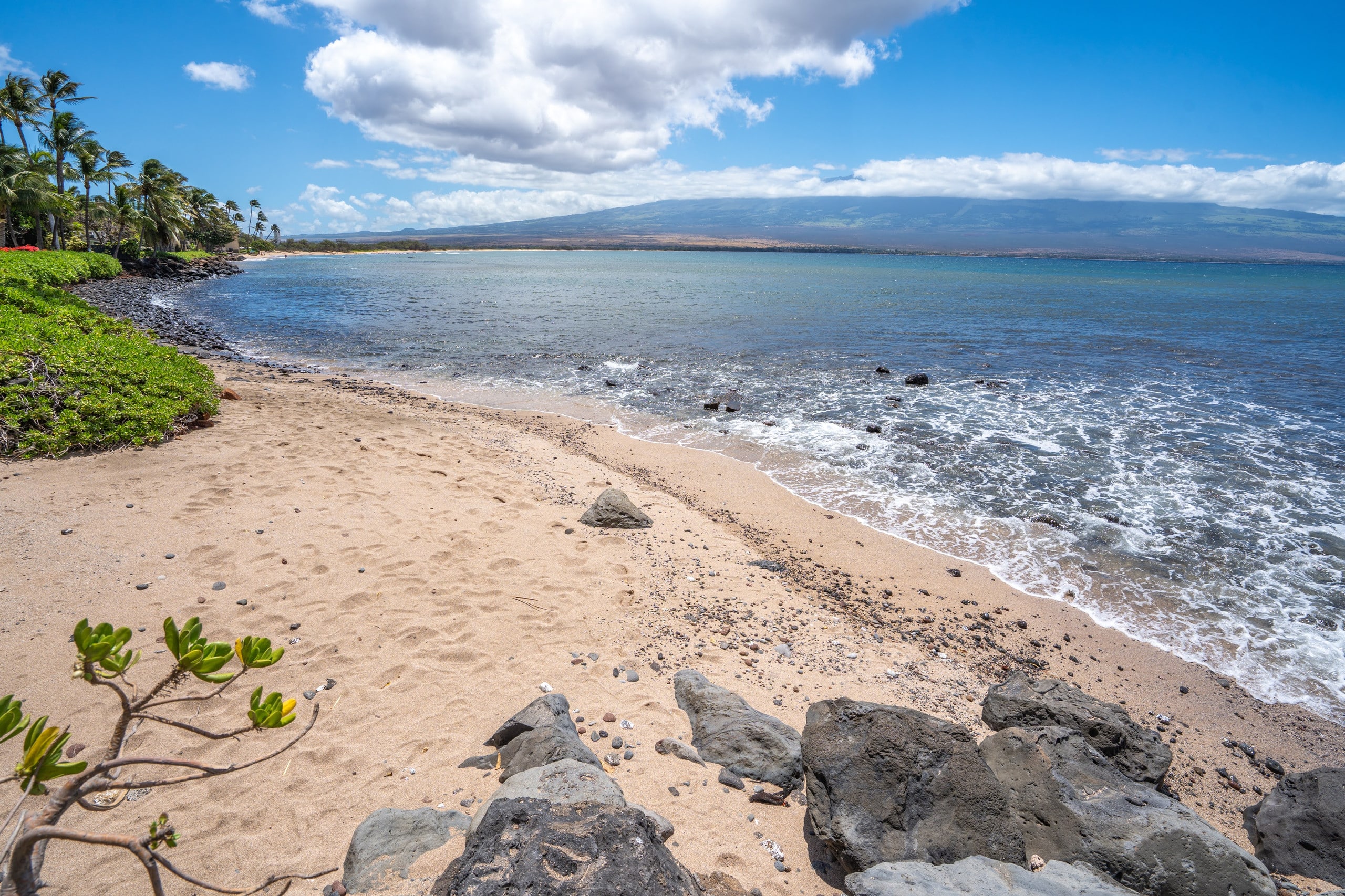 Condo in Wailuku · ★4.76 · 3 bedrooms · 4 beds · 2 baths - Image 34