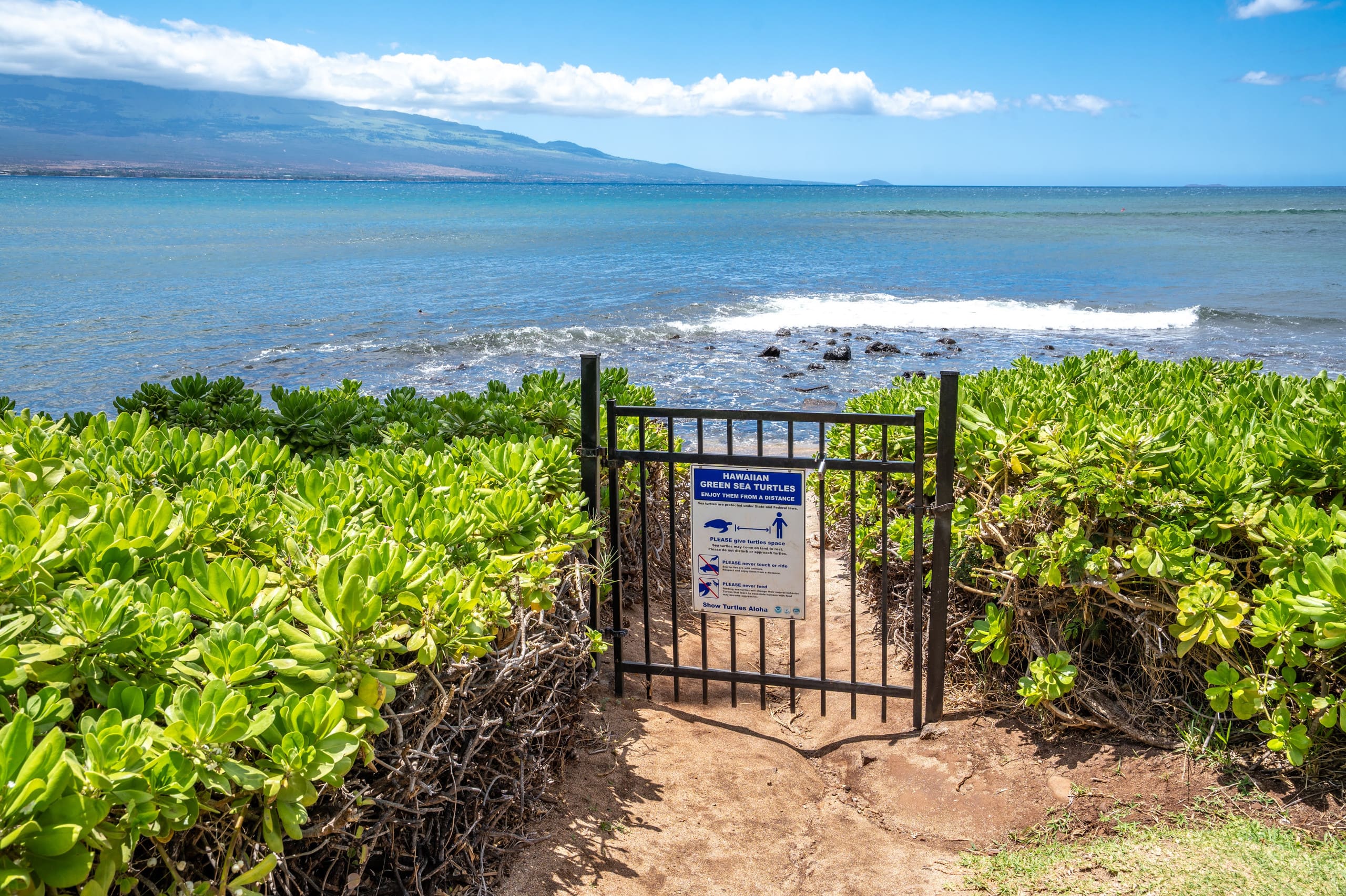 Condo in Wailuku · ★4.76 · 3 bedrooms · 4 beds · 2 baths - Image 33