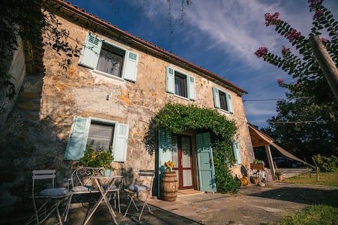 Villa Carla Istrian House