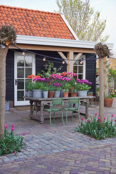 Small Rose Garden