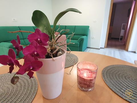 Top performing Airbnb: Apartment Irene in Piran