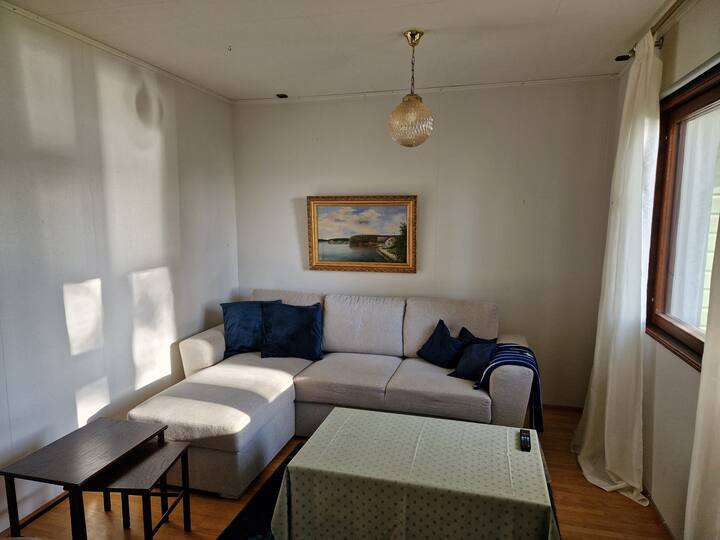 გასაშლელი დივანი მისაღებ ოთახში, რომელზეც ორი ადამიანი იძინებს.